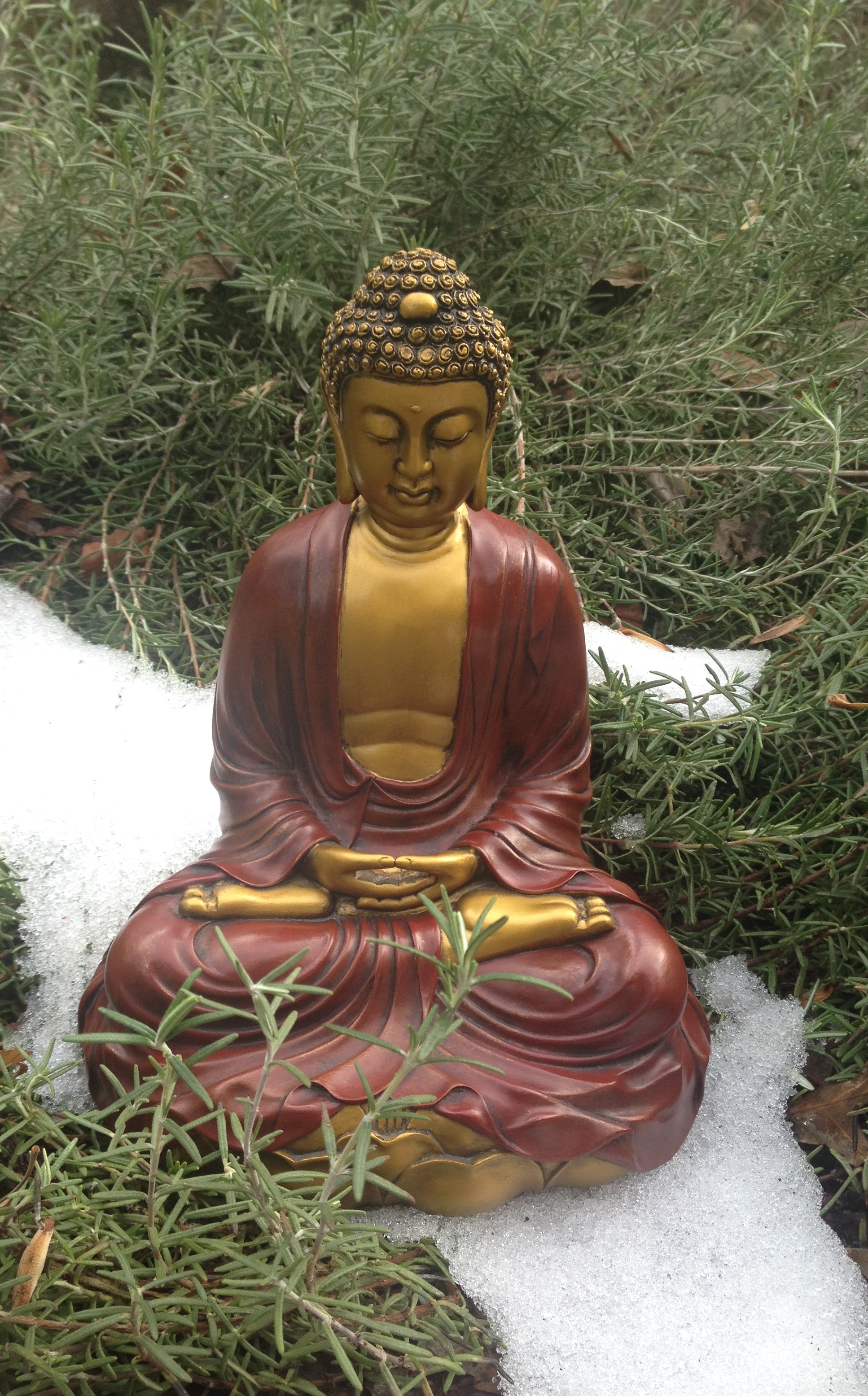 Buddha statue in snow and rosemary